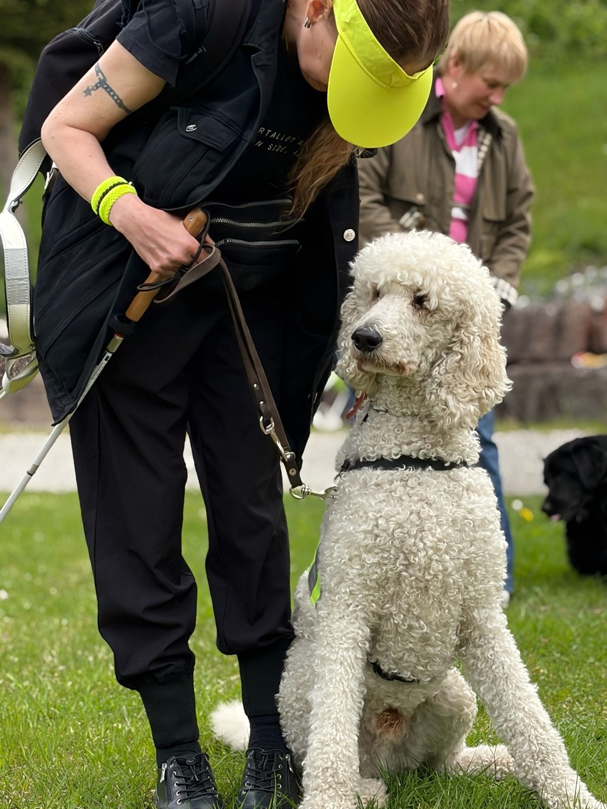 Førerhund under trening med fører.