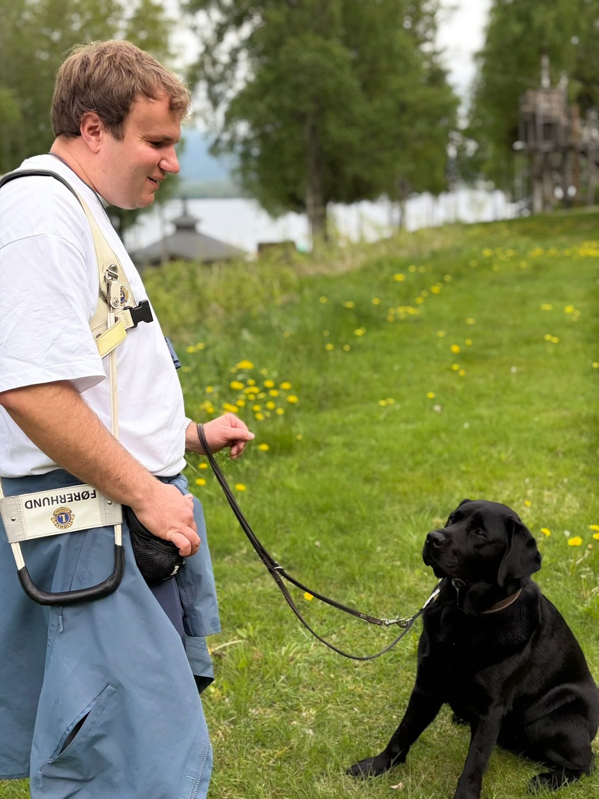 Førerhund og fører i parkmiljø.